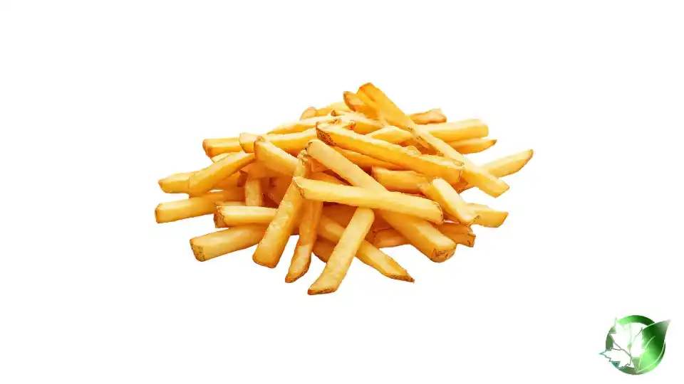 Bulk Frozen French Fries (Partially Fried) | Suppliers | Wholesale | ParsaFood Global